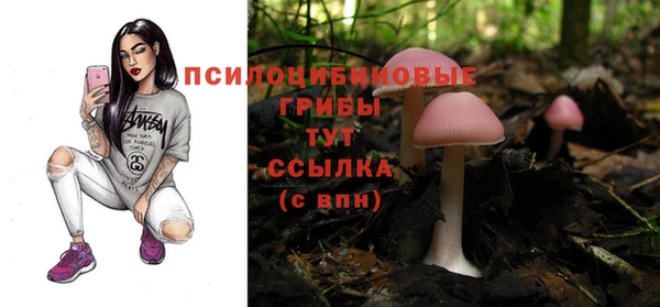 первитин Абаза