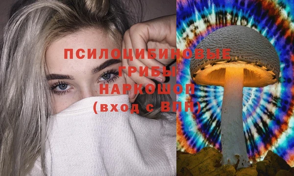 твердый Анива