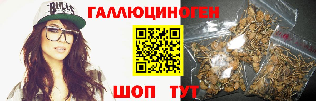 Галлюциногенные грибы ЛСД  Вход с VPN  где найти   Отрадное 