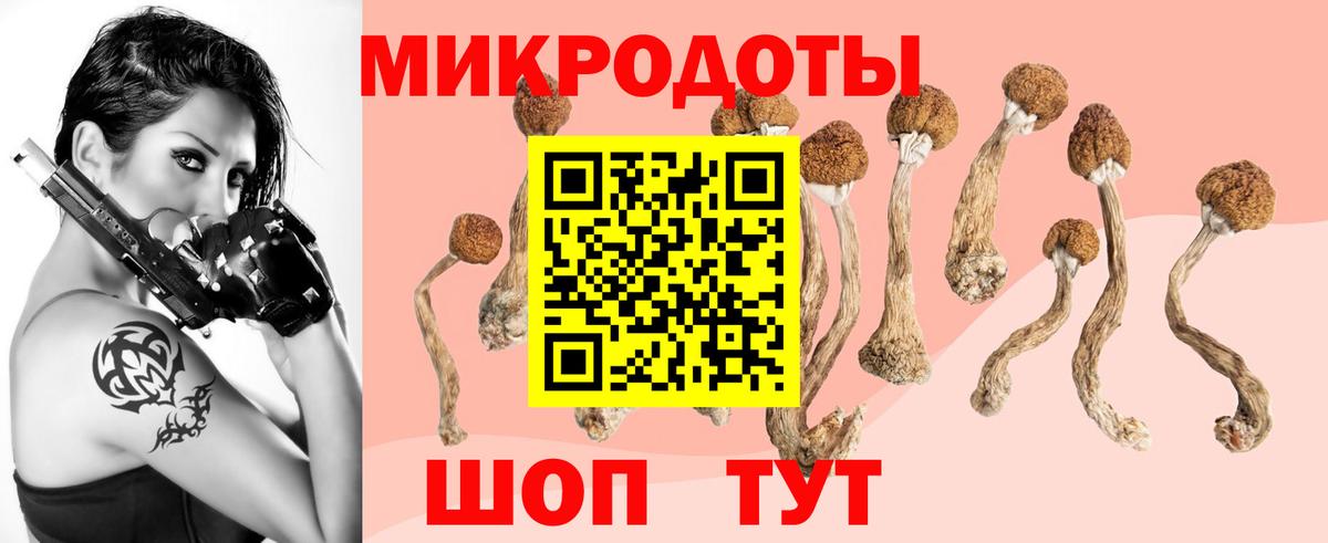 Галлюциногенные грибы MAGIC MUSHROOMS Отрадное
